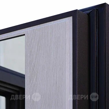 Входная металлическая Дверь Шелтер (SHELTER) Филадельфия Зеркало в Протвино