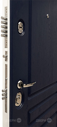 Входная металлическая Дверь Сударь МД-45 в Протвино