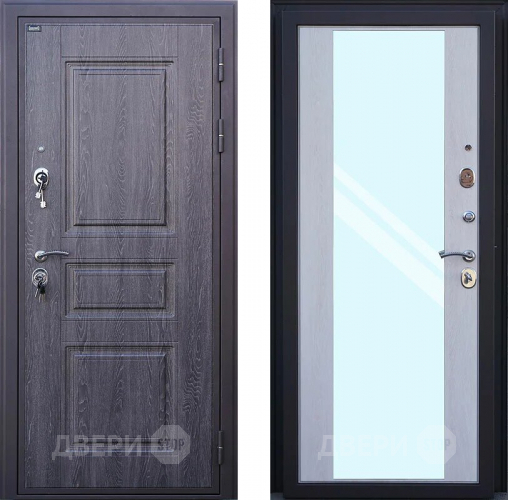 Входная металлическая Дверь Шелтер (SHELTER) Филадельфия Зеркало в Протвино