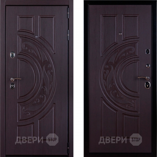 Дверь Меркурий в Протвино