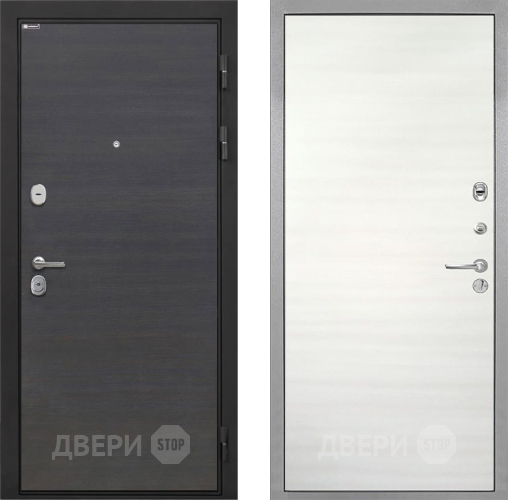 Входная металлическая Дверь Интекрон (INTECRON) Гектор Эковенге Гладкая Дуб сильвер поперечный в Протвино